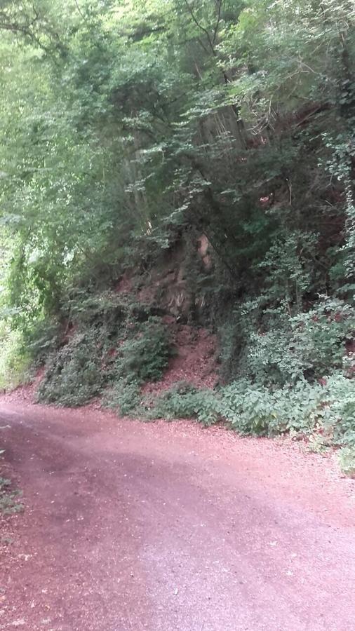 Ferienwohnungen "Am Fuerstenweg" Neuwied Exteriér fotografie