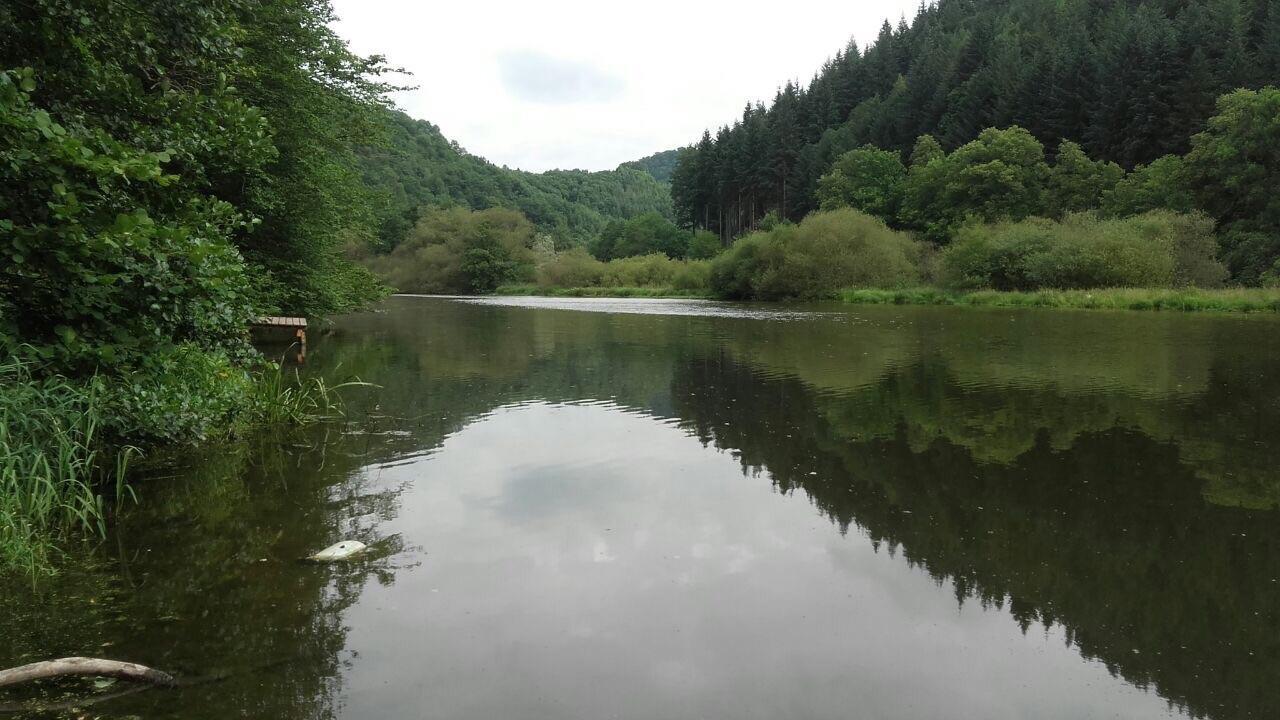 Ferienwohnungen "Am Fuerstenweg" Neuwied Exteriér fotografie