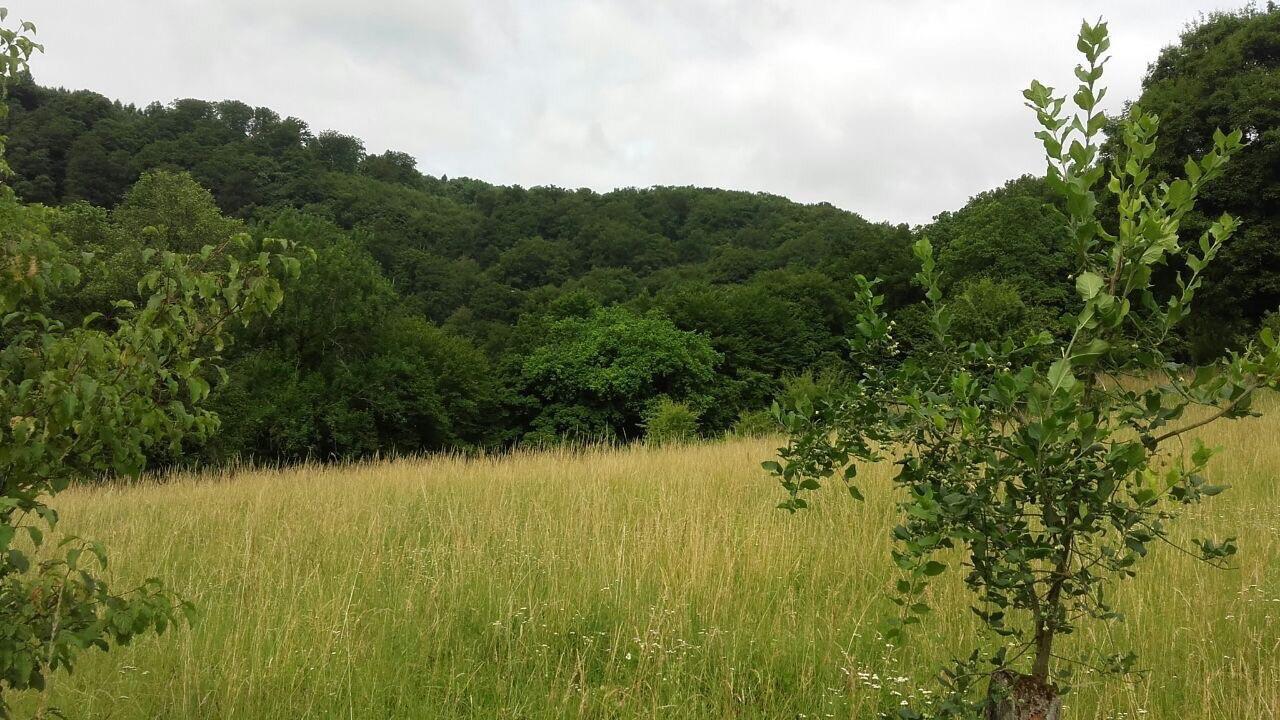 Ferienwohnungen "Am Fuerstenweg" Neuwied Exteriér fotografie