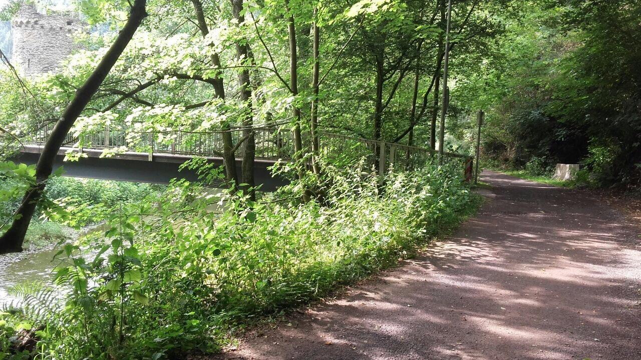 Ferienwohnungen "Am Fuerstenweg" Neuwied Exteriér fotografie